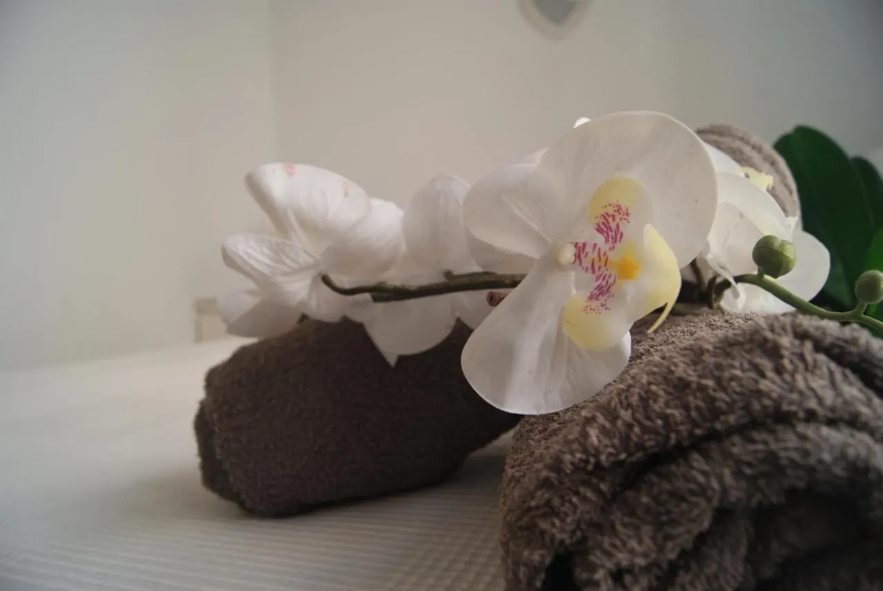 Apartamento Cdz - Carmen Coronada Cádiz